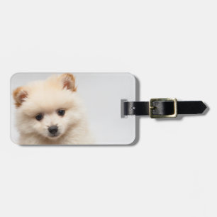 Too Cute Pomeranian Luggage Tag