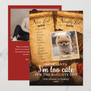 Too Cute Santa Nice Naughty List Pet 2 Photo Fun Holiday Card