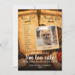Too Cute Santa Nice Naughty List Pet Photo Fun Holiday Card