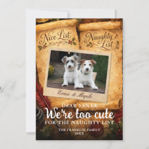 Too Cute Santa Nice Naughty List Pet Photo Fun Holiday Card
