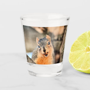 Too cute shot glass