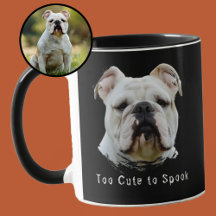 Too Cute to Spook Personalised Halloween Dog Photo