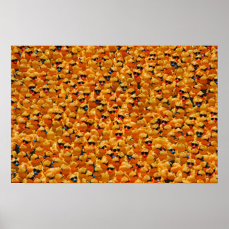 Too Many Ducks Poster