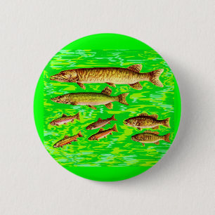 too many fish in the sea 6 cm round badge