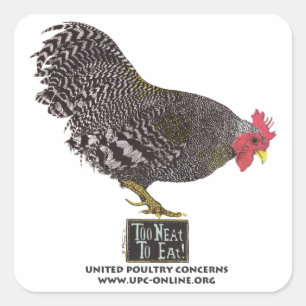 Too Neat To Eat! - Rooster Square Sticker