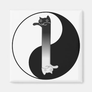 Toon Tao of Longcat Magnet