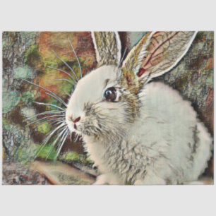 toony bunny tissue paper