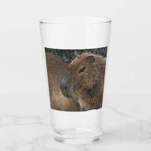 toony Capibarah Glass