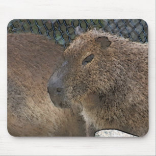 toony Capibarah Mouse Mat