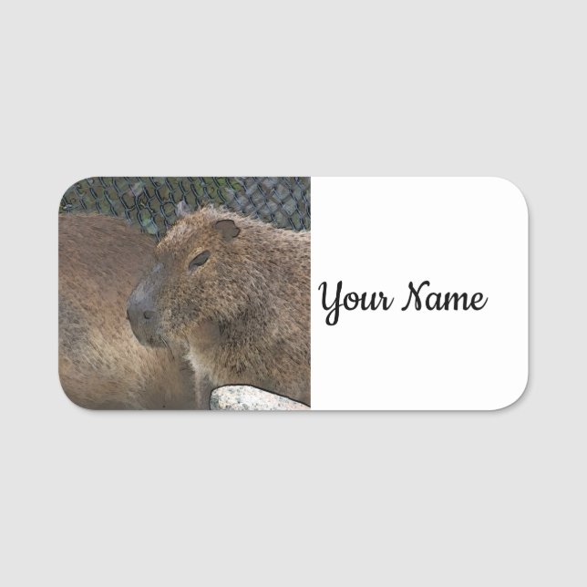 toony Capibarah Name Tag (Front)