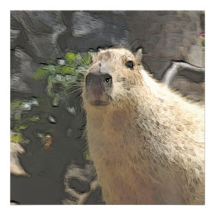 toony capy 3 photo print