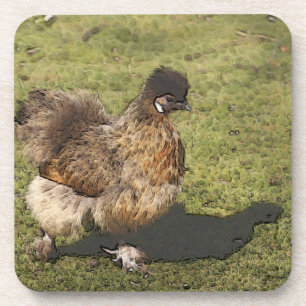 toony chicken coaster