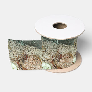 Toony dwarf mice satin ribbon