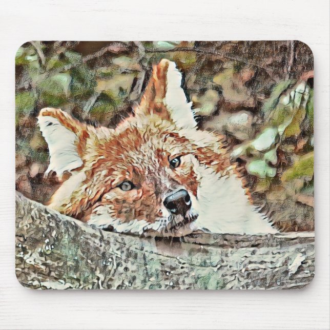 Toony Fox Mouse Mat (Front)