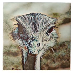 toony ostrich tile