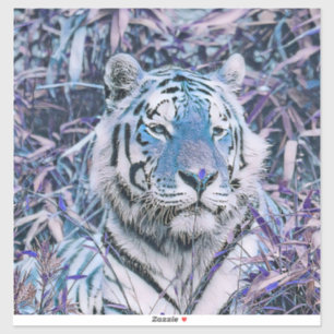Toony Tiger blue