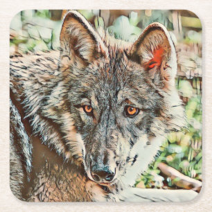 toony wolf square paper coaster