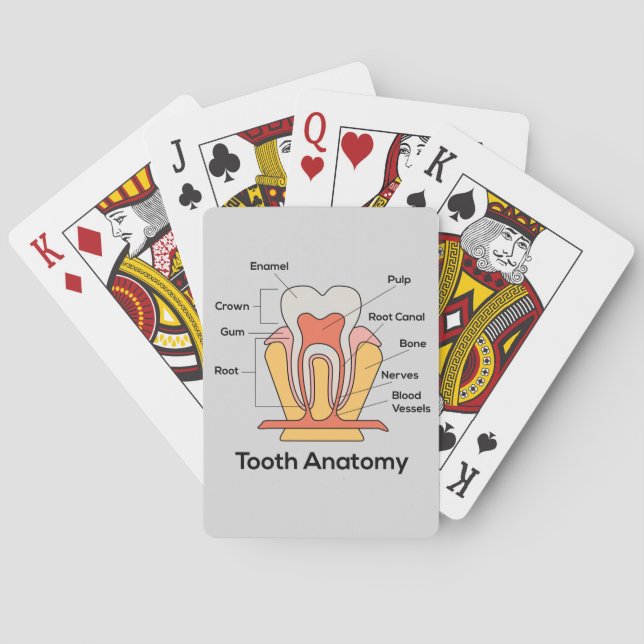 Tooth Anatomy Chart Playing Cards (Back)