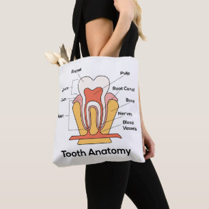 Tooth Anatomy Chart Tote Bag