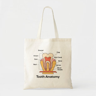 Tooth Anatomy Chart Tote Bag