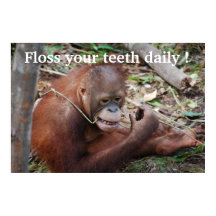 Tooth Care Floss Children's Dentist