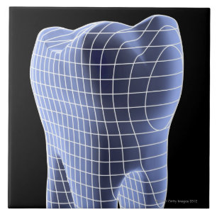 Tooth, computer artwork of a molar tooth tile