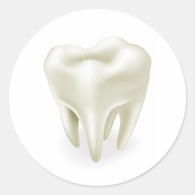 Tooth illustration classic round sticker (Front)