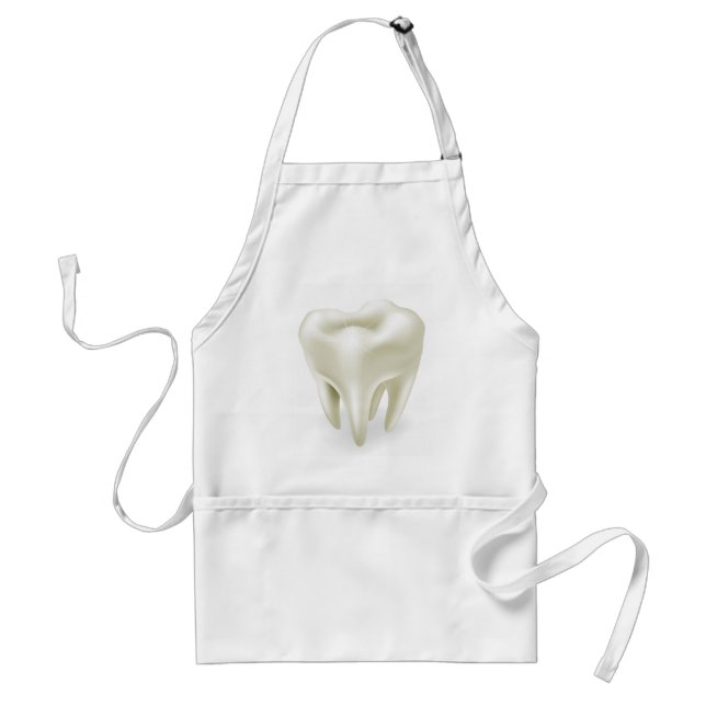 Tooth illustration standard apron (Front)