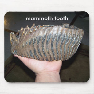 tooth, mammoth tooth mouse mat