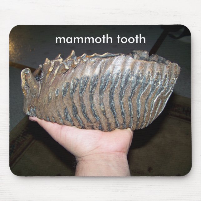 tooth, mammoth tooth mouse mat (Front)