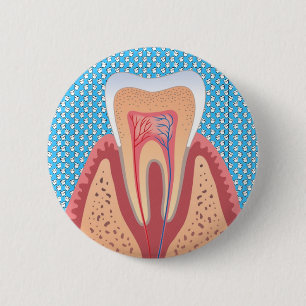 TOOTH STRUCTURE 6 CM ROUND BADGE