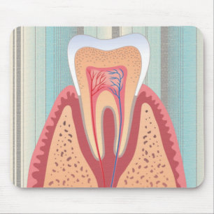 TOOTH STRUCTURE MOUSE MAT