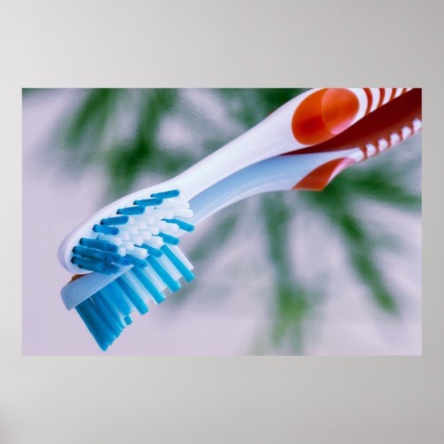Toothbrush Poster (Front)