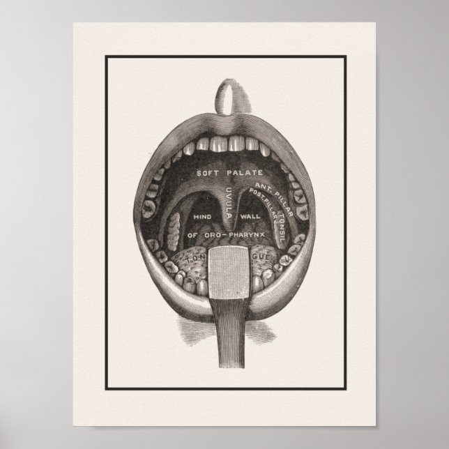 Toothbrushing Wall Poster (Front)