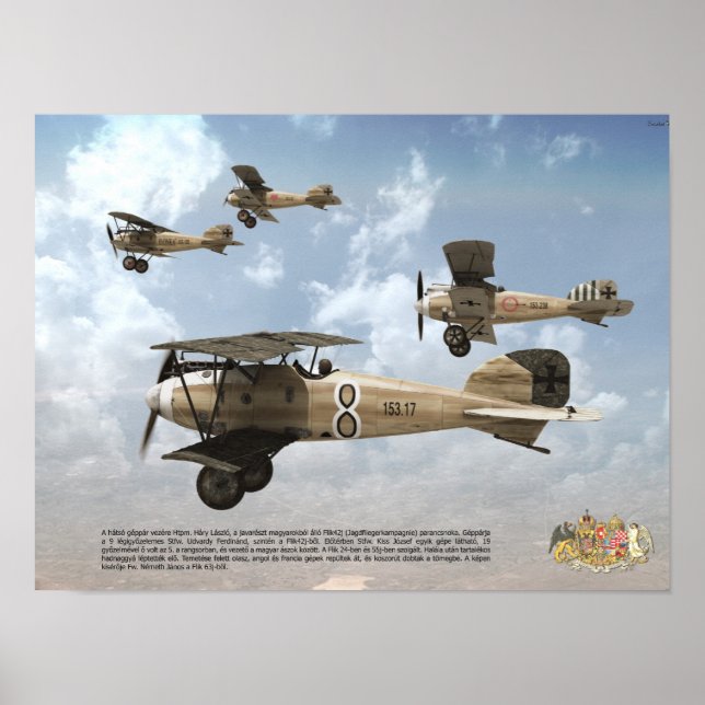 Top Aces of the Austro-Hungarian KuK Air Force Poster (Front)