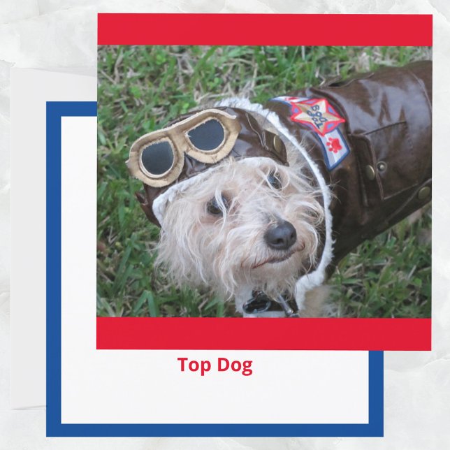 Top Dog in Aviator Costume Flat Note Card (Creator Uploaded)