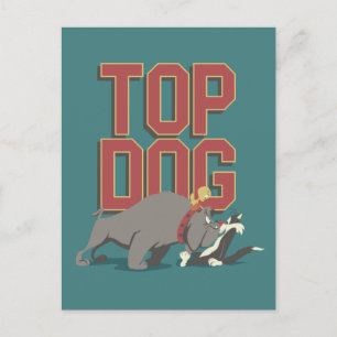 "Top Dog" Spike Guarding TWEETY™ From SYLVESTER™ Postcard