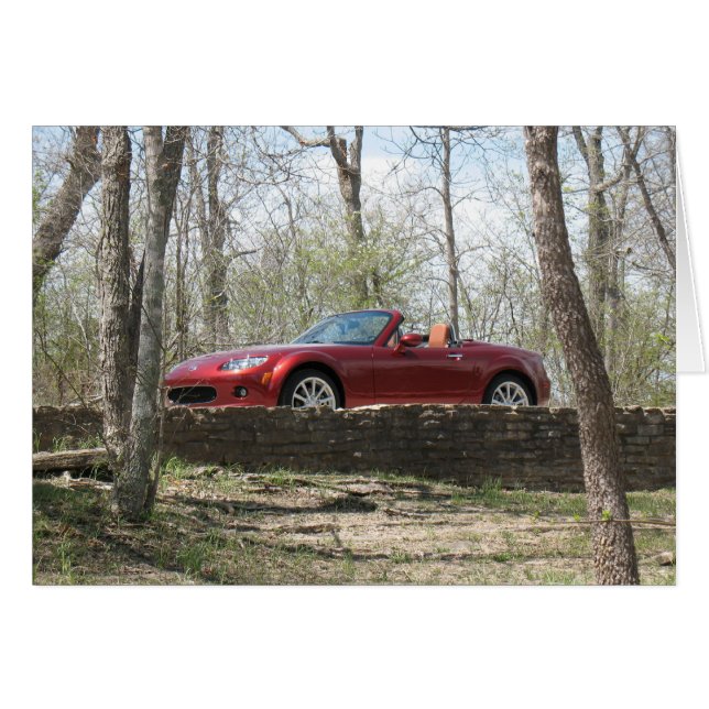 Top Down! (Front Horizontal)