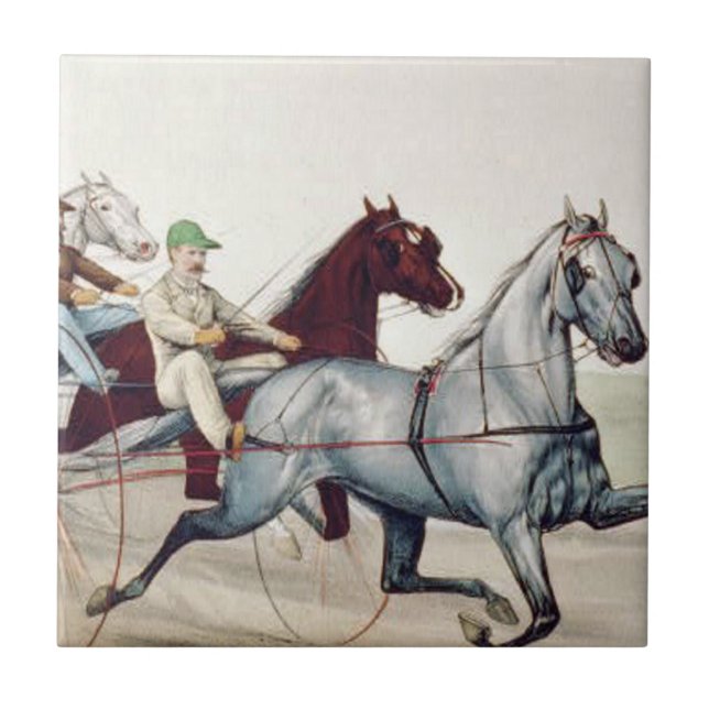 TOP Harness Racing Tile (Front)