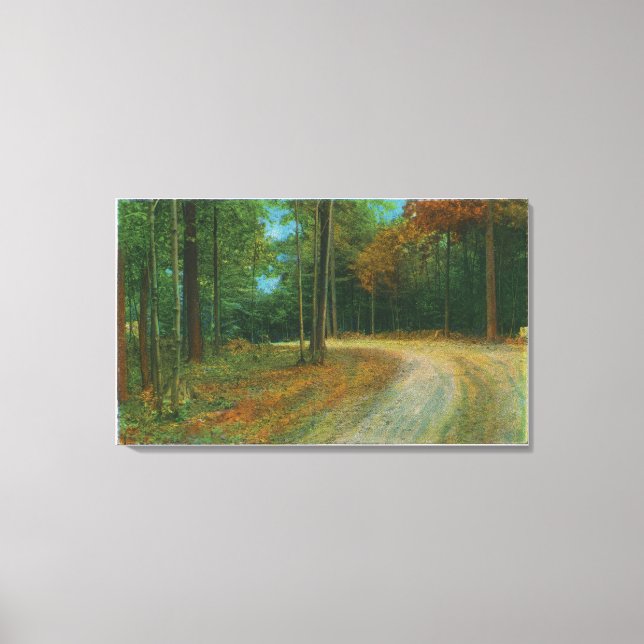 Top of Middle Ravine of Saratoga Battlefield Canvas Print (Front)