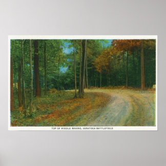 Top of Middle Ravine of Saratoga Battlefield Poster