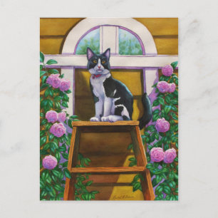 Top of the Ladder Postcard