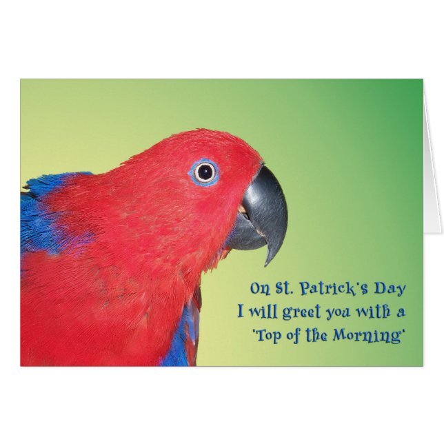 Top of the Morning (Front Horizontal)