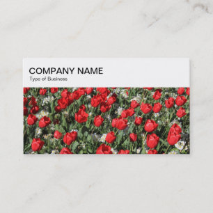 Top Panel - Bed of Tulips 02 Business Card