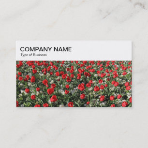 Top Panel - Bed of Tulips Business Card