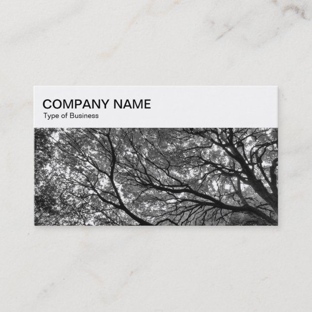 Top Panel - Branches and Leaves BW Business Card (Front)
