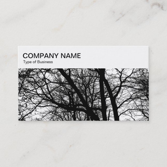 Top Panel - High Contrast Branches Business Card (Front)