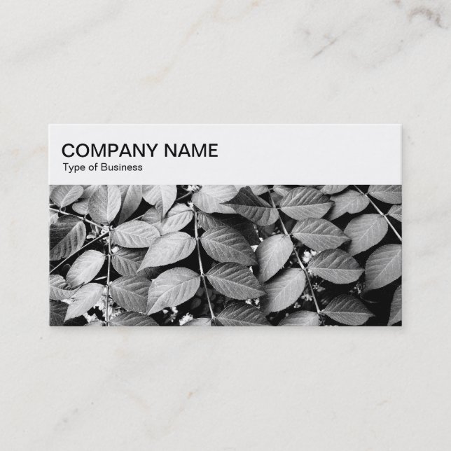 Top Panel - Leaves Business Card (Front)