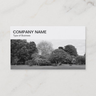 Top Panel - Park BW Business Card