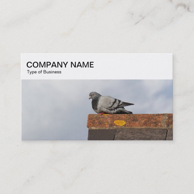 Top Panel - Pigeon on a Roof Business Card (Front)